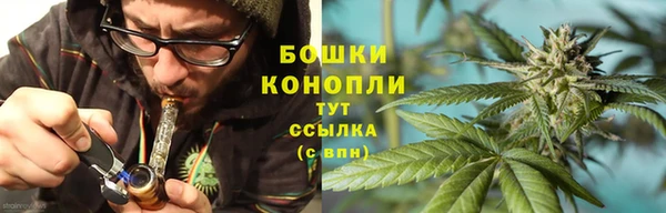 сатива Богородск