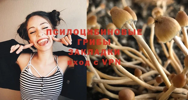 МДПВ Богданович