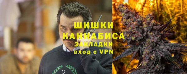 сатива Богородск